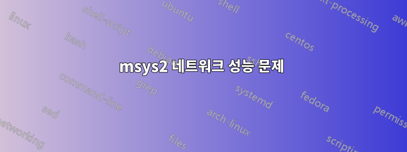 msys2 네트워크 성능 문제