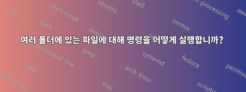 여러 폴더에 있는 파일에 대해 명령을 어떻게 실행합니까?