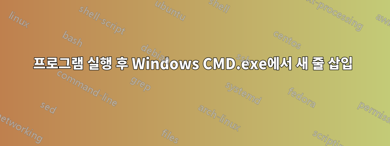 프로그램 실행 후 Windows CMD.exe에서 새 줄 삽입