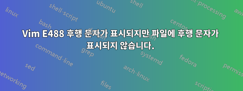 Vim E488 후행 문자가 표시되지만 파일에 후행 문자가 표시되지 않습니다.