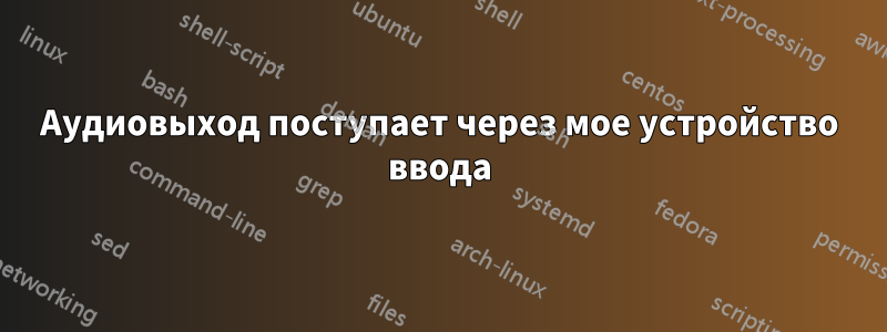 Аудиовыход поступает через мое устройство ввода