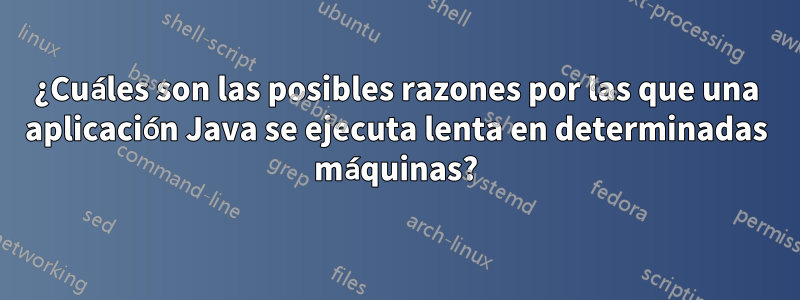 ¿Cuáles son las posibles razones por las que una aplicación Java se ejecuta lenta en determinadas máquinas?