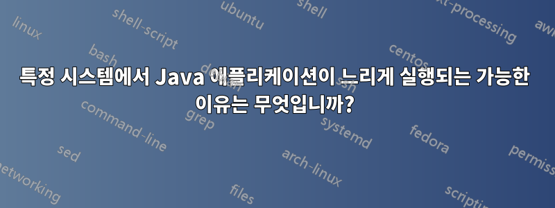 특정 시스템에서 Java 애플리케이션이 느리게 실행되는 가능한 이유는 무엇입니까?