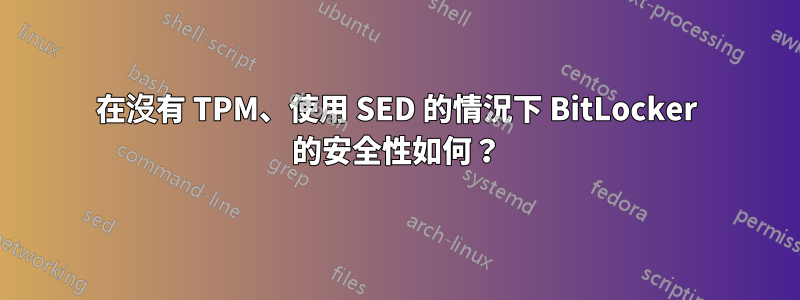 在沒有 TPM、使用 SED 的情況下 BitLocker 的安全性如何？