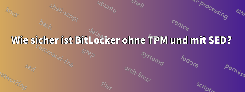 Wie sicher ist BitLocker ohne TPM und mit SED?