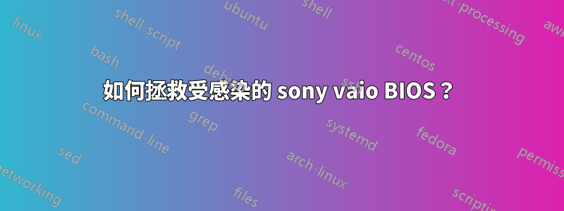 如何拯救受感染的 sony vaio BIOS？