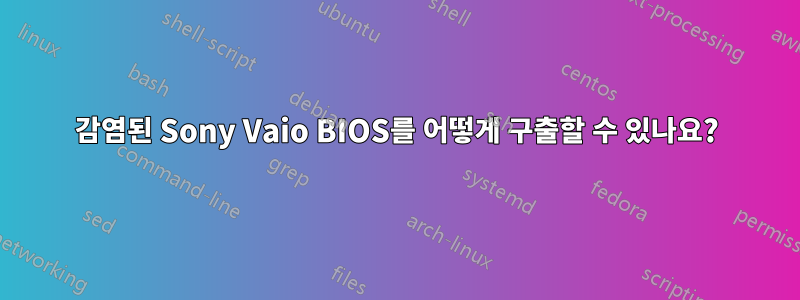 감염된 Sony Vaio BIOS를 어떻게 구출할 수 있나요?