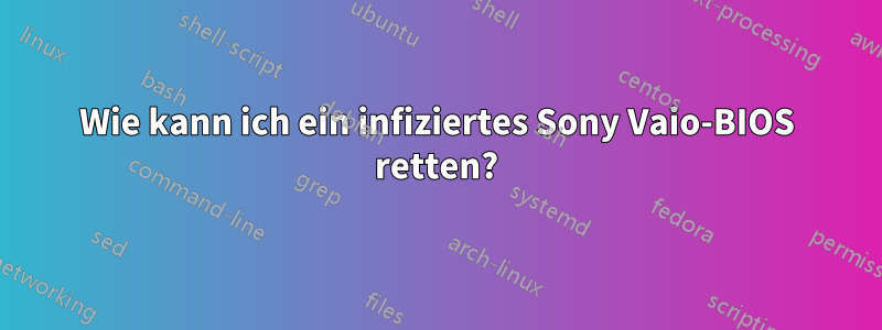 Wie kann ich ein infiziertes Sony Vaio-BIOS retten?