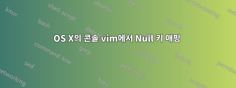 OS X의 콘솔 vim에서 Null 키 매핑