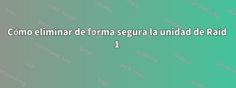 Cómo eliminar de forma segura la unidad de Raid 1