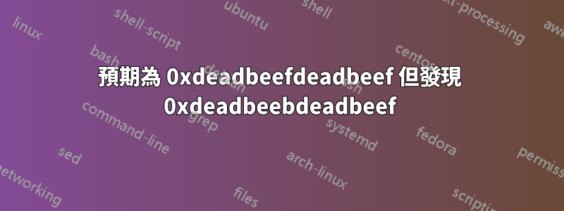 預期為 0xdeadbeefdeadbeef 但發現 0xdeadbeebdeadbeef