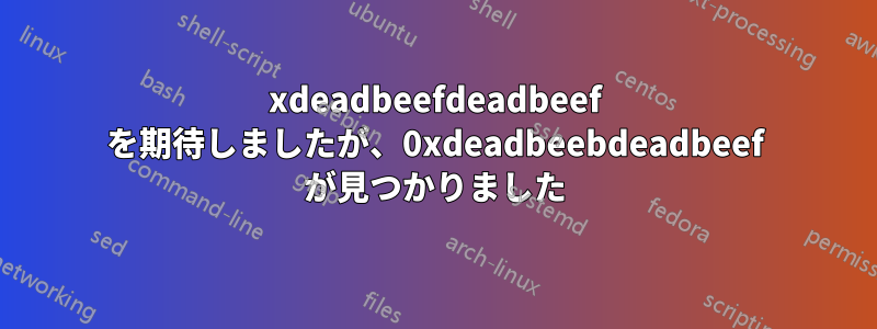 0xdeadbeefdeadbeef を期待しましたが、0xdeadbeebdeadbeef が見つかりました