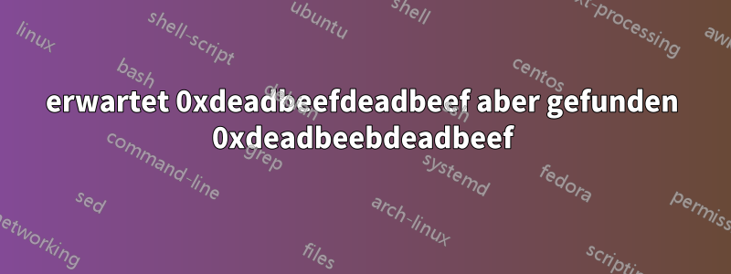 erwartet 0xdeadbeefdeadbeef aber gefunden 0xdeadbeebdeadbeef