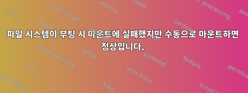 파일 시스템이 부팅 시 마운트에 실패했지만 수동으로 마운트하면 정상입니다.