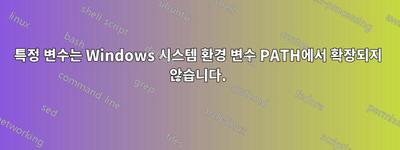 특정 변수는 Windows 시스템 환경 변수 PATH에서 확장되지 않습니다.