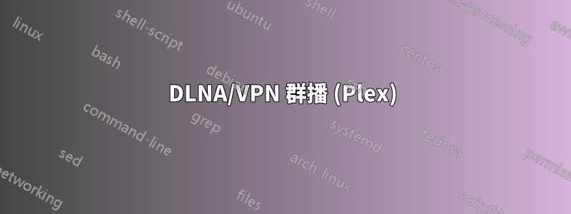 DLNA/VPN 群播 (Plex)