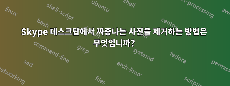 Skype 데스크탑에서 짜증나는 사진을 제거하는 방법은 무엇입니까?