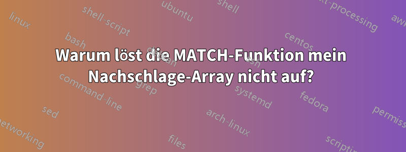 Warum löst die MATCH-Funktion mein Nachschlage-Array nicht auf?