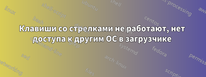 Клавиши со стрелками не работают, нет доступа к другим ОС в загрузчике