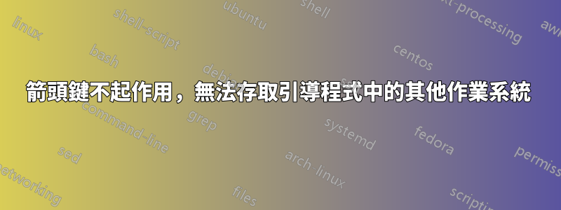 箭頭鍵不起作用，無法存取引導程式中的其他作業系統