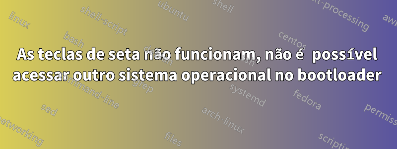 As teclas de seta não funcionam, não é possível acessar outro sistema operacional no bootloader