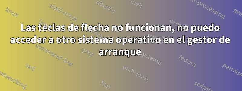 Las teclas de flecha no funcionan, no puedo acceder a otro sistema operativo en el gestor de arranque