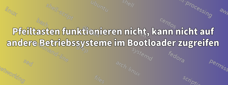 Pfeiltasten funktionieren nicht, kann nicht auf andere Betriebssysteme im Bootloader zugreifen