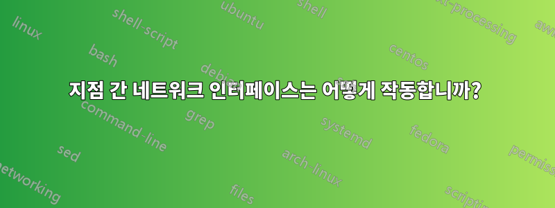 지점 간 네트워크 인터페이스는 어떻게 작동합니까?