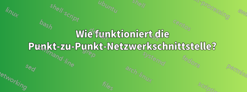 Wie funktioniert die Punkt-zu-Punkt-Netzwerkschnittstelle?