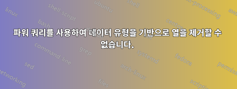 파워 쿼리를 사용하여 데이터 유형을 기반으로 열을 제거할 수 없습니다.