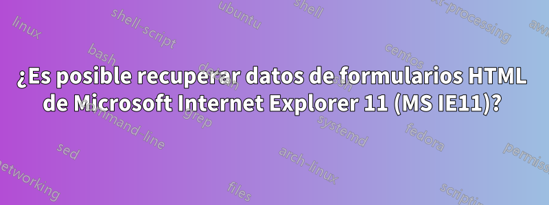 ¿Es posible recuperar datos de formularios HTML de Microsoft Internet Explorer 11 (MS IE11)?