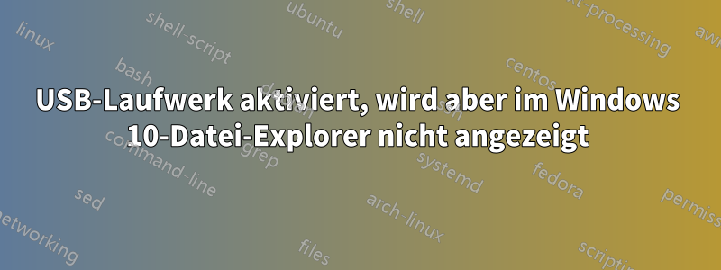 USB-Laufwerk aktiviert, wird aber im Windows 10-Datei-Explorer nicht angezeigt