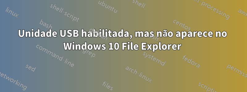 Unidade USB habilitada, mas não aparece no Windows 10 File Explorer