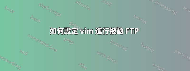 如何設定 vim 進行被動 FTP