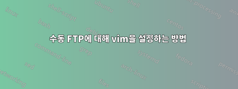 수동 FTP에 대해 vim을 설정하는 방법