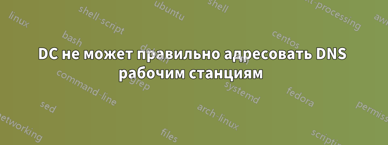DC не может правильно адресовать DNS рабочим станциям 