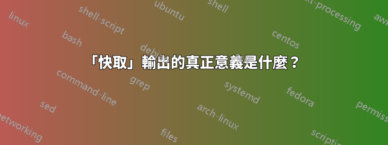 「快取」輸出的真正意義是什麼？