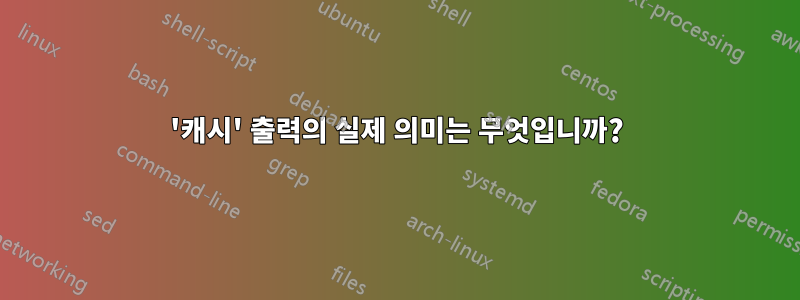 '캐시' 출력의 실제 의미는 무엇입니까?