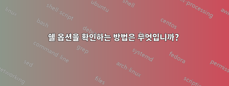 쉘 옵션을 확인하는 방법은 무엇입니까?