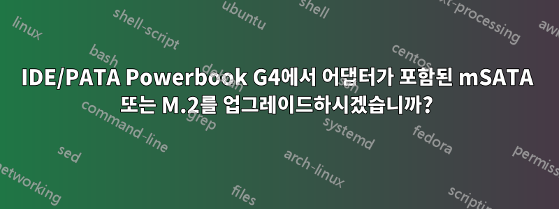 IDE/PATA Powerbook G4에서 어댑터가 포함된 mSATA 또는 M.2를 업그레이드하시겠습니까?