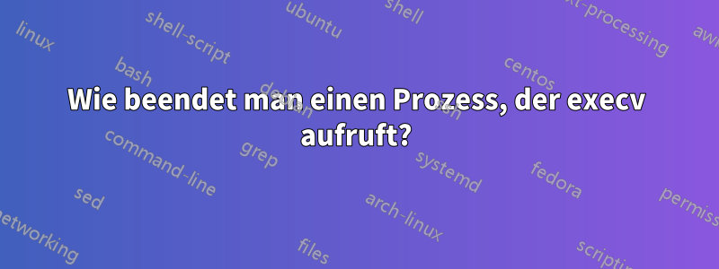 Wie beendet man einen Prozess, der execv aufruft?