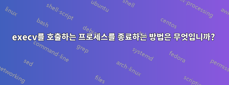 execv를 호출하는 프로세스를 종료하는 방법은 무엇입니까?