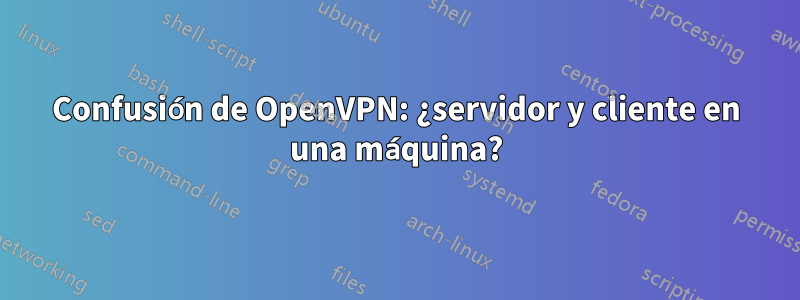 Confusión de OpenVPN: ¿servidor y cliente en una máquina?