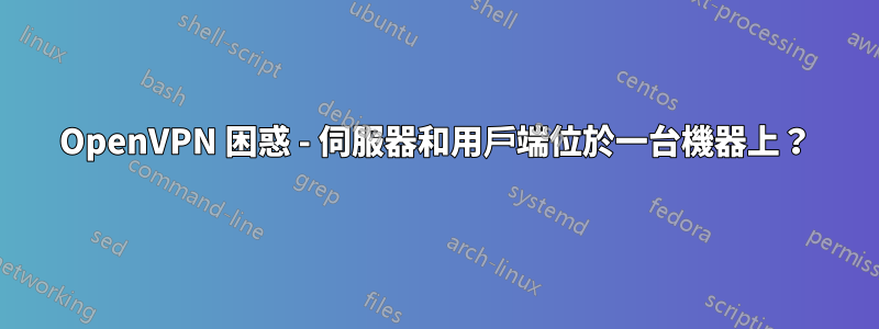 OpenVPN 困惑 - 伺服器和用戶端位於一台機器上?