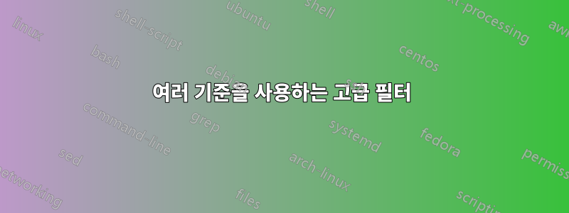 여러 기준을 사용하는 고급 필터