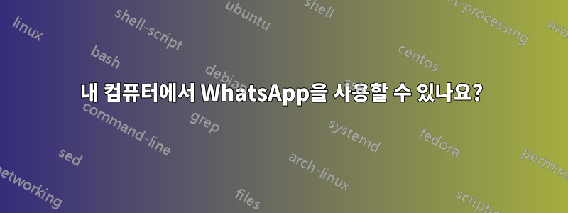 내 컴퓨터에서 WhatsApp을 사용할 수 있나요?