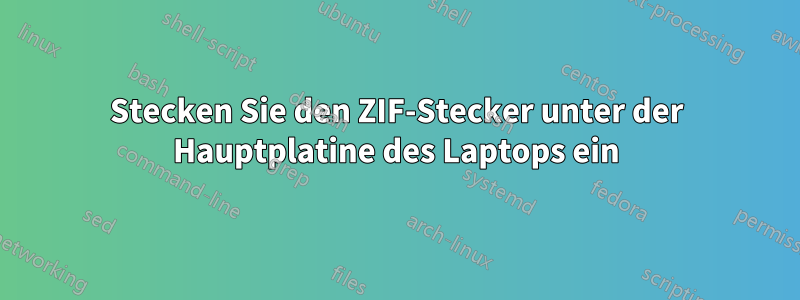 Stecken Sie den ZIF-Stecker unter der Hauptplatine des Laptops ein