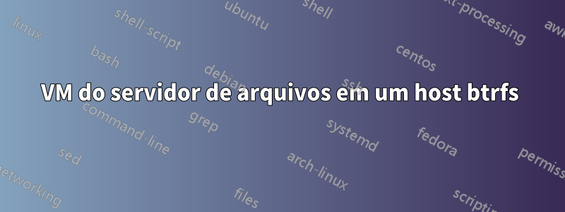 VM do servidor de arquivos em um host btrfs