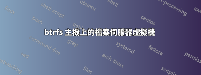 btrfs 主機上的檔案伺服器虛擬機