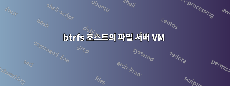 btrfs 호스트의 파일 서버 VM